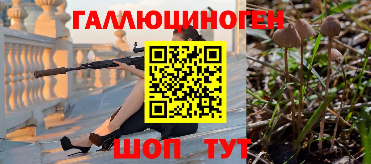 Фролово  купить наркоту  Вход с VPN  Псилоцибиновые грибы GOLDEN TEACHER 